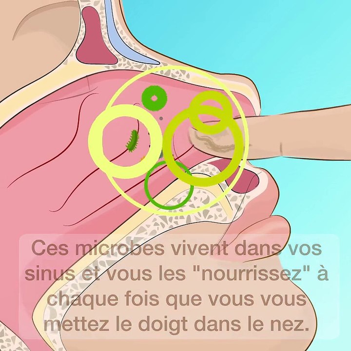 Ceux qui se curent le nez mettent leur vie en danger.