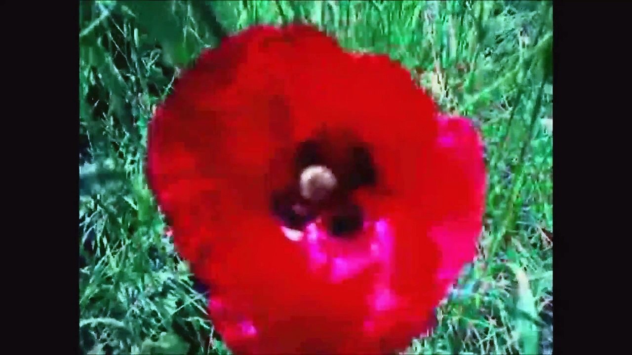 Editeur Bande annonce