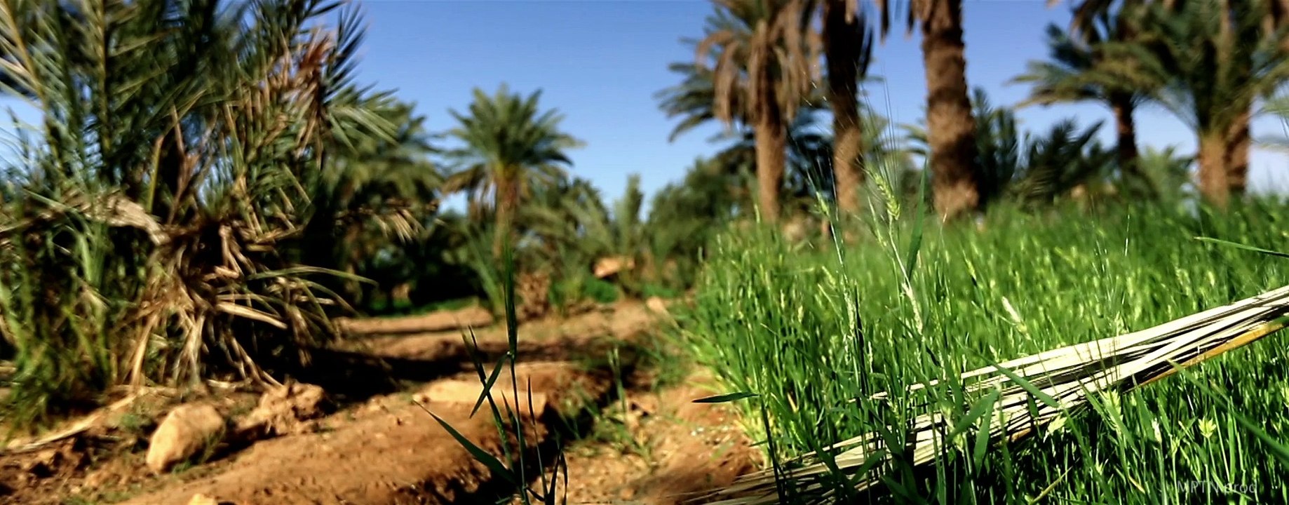 Moroccan Desert Nomads