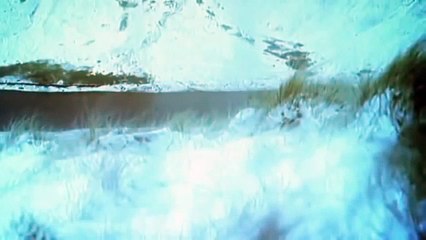 Fairies BBC documentary new