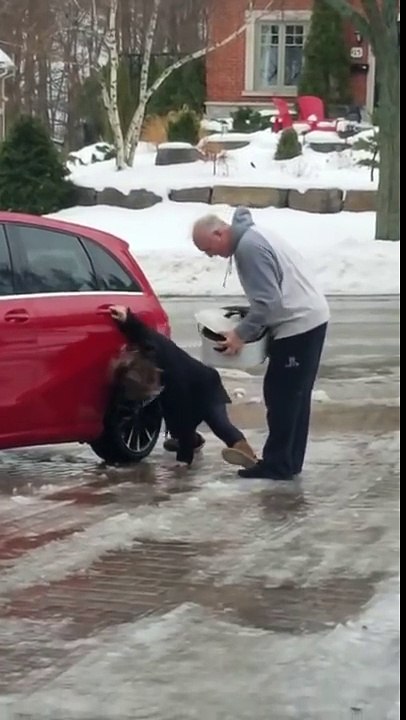 Le verglas l'empêche de monter dans sa voiture pour conduire !