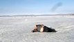 Ivre cet alcoolique russe est échoué sur la glace d'un lac gelé !