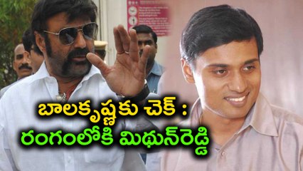 Hindupur Assembly seat in 2019 elections : బాలకృష్ణకు చెక్