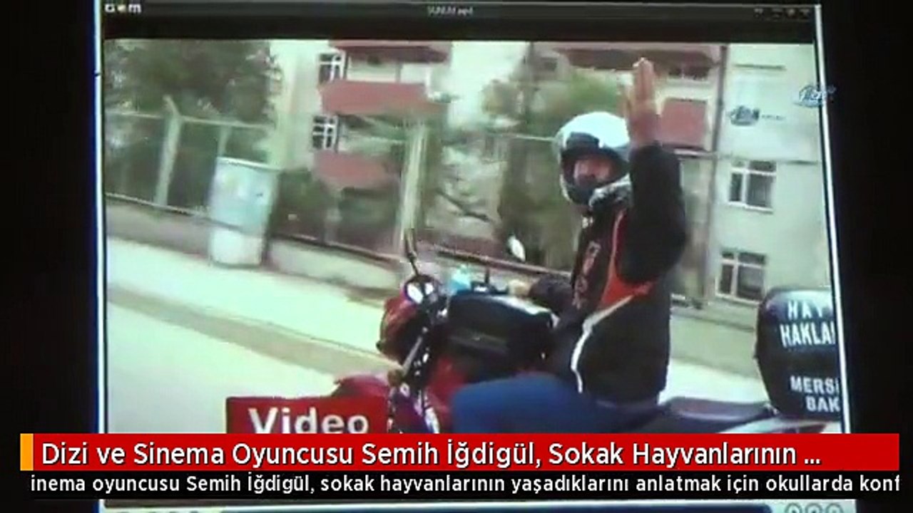 Dizi ve Sinema Oyuncusu Semih İğdigül, Sokak Hayvanlarının Yaşadıklarına Dikkat Çekiyor