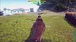 ARK: Survival Evolved Gameplay - TAMING A BIRD! E16 ( Argentavis )