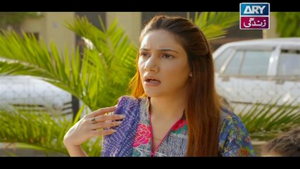 Rasm-e-Duniya Episode 27 - on ARY Zindagi in High Quality 21st November 2017