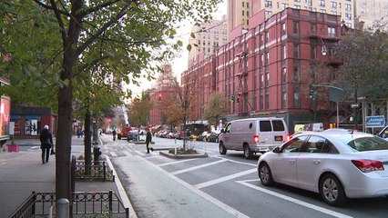 Un refuge à New York sauve des oiseaux de la jungle urbaine