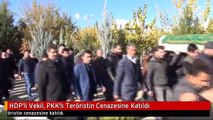 HDP'li Vekil, PKK'lı Teröristin Cenazesine Katıldı