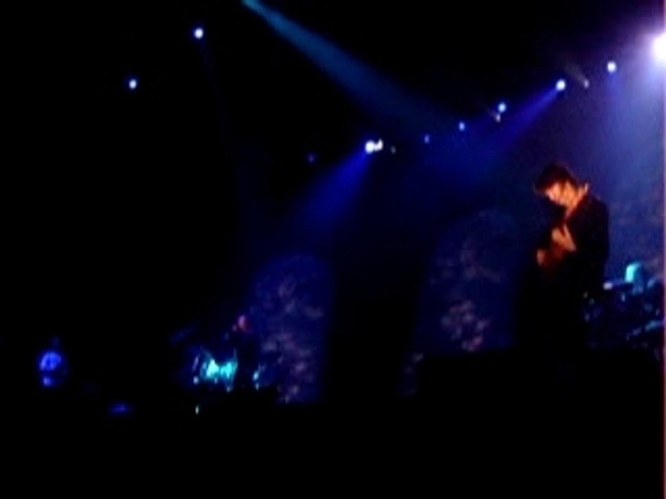 concert suite