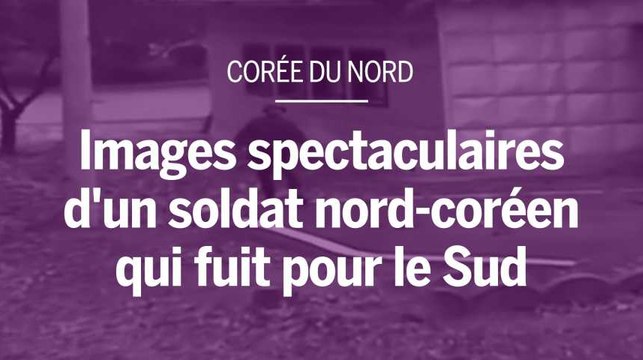 Une vidéo spectaculaire montre la fuite d’un soldat nord-coréen vers le Sud