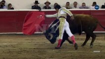 Un taureau plante une corne dans l'entrejambe d'un torero