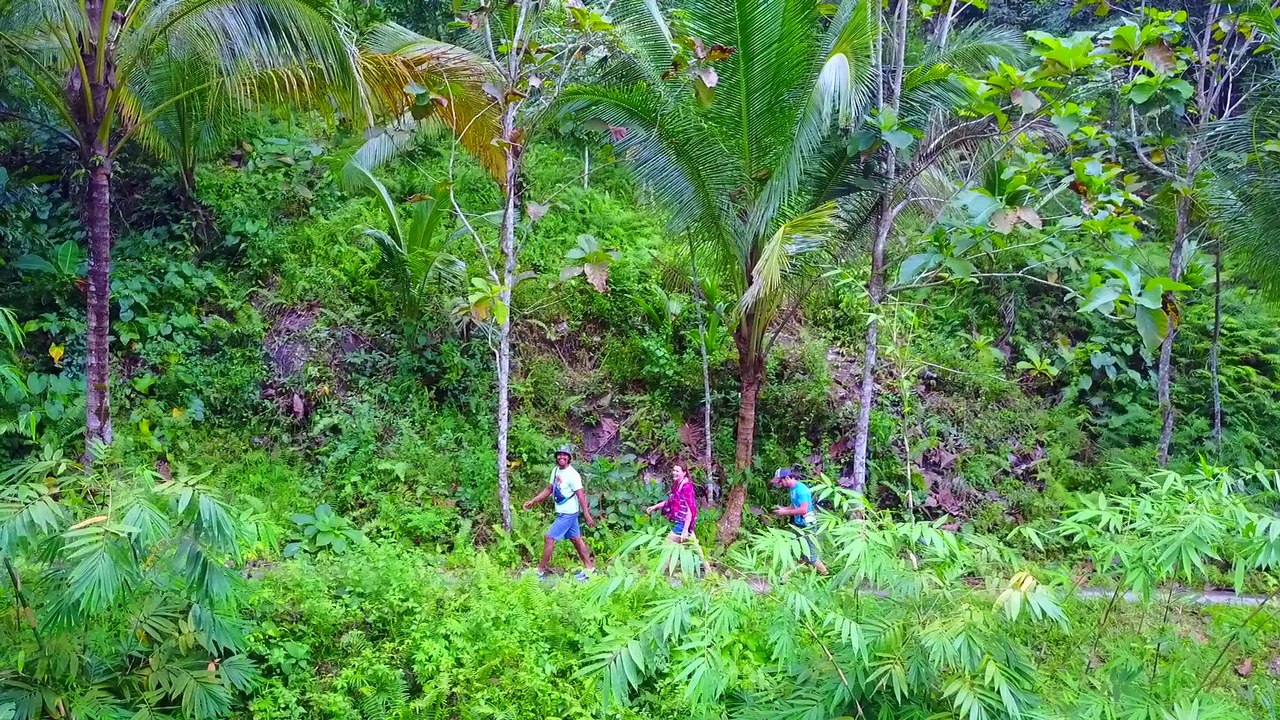 petit bali