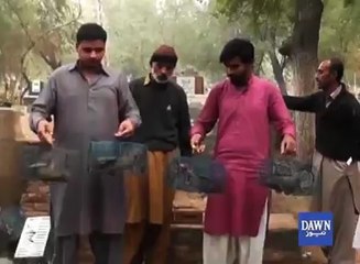 Télécharger la video: لاش کو دفناتے ہی اگلے 15منٹ میں ہی یہ قبر میں گھس کر مردے کو کھا جاتے ہیں'