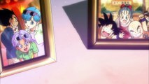 Hiromi Tsuru Bulma See You Again Tribute