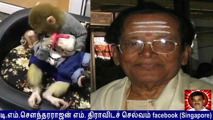 Pasamalar  T M Soundararajan Legend