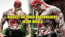 Biggest Tattooed Bodybuilders In The World 2017 - Real Life Giants - Bodybuilding Motivation 2017