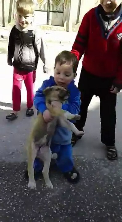 Funny Video   for children,for children to watch