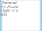 Feicuan Cadena de luces Battery Powered 5M50 Blossom Flower LED Hadas Light para Jardines