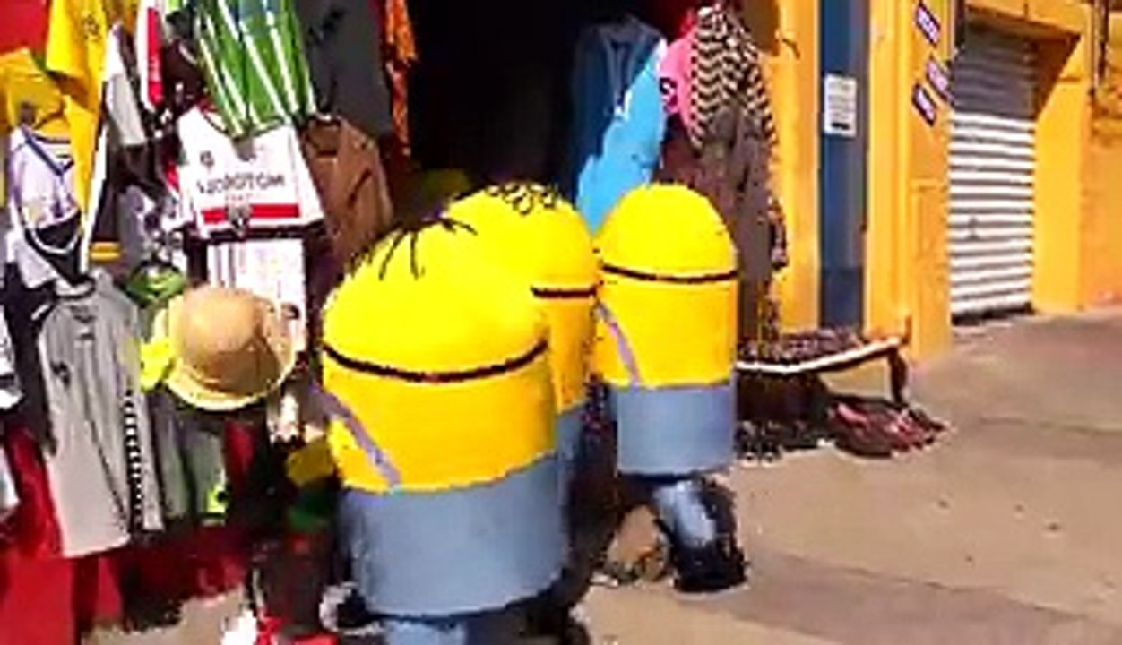 funny animated video
