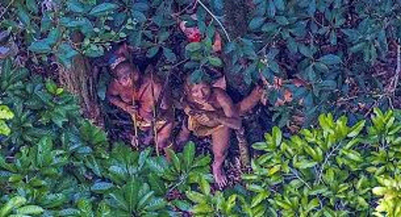 Video Lucu - Sistem Canggih Suku Primitif Berburu