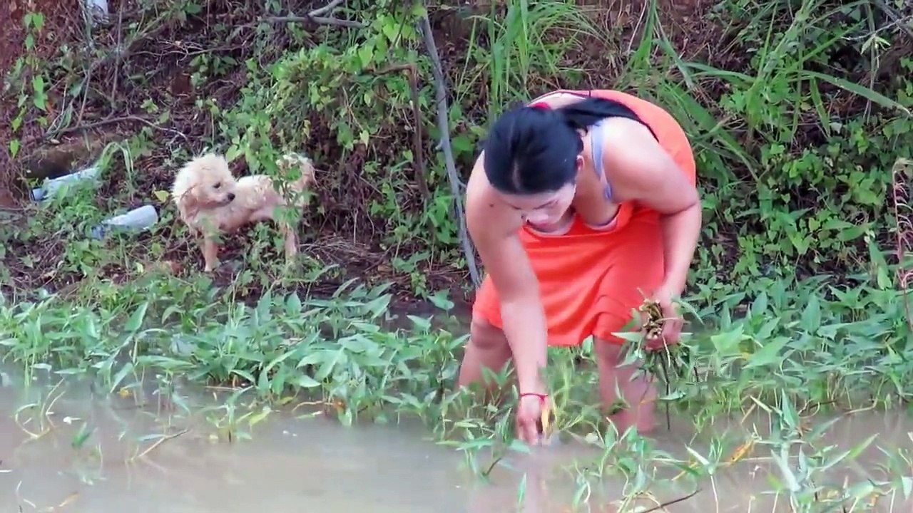 Beautiful Girl Fishing Amazing Fishing at Battambang How To Catch Fish By Hand Part47