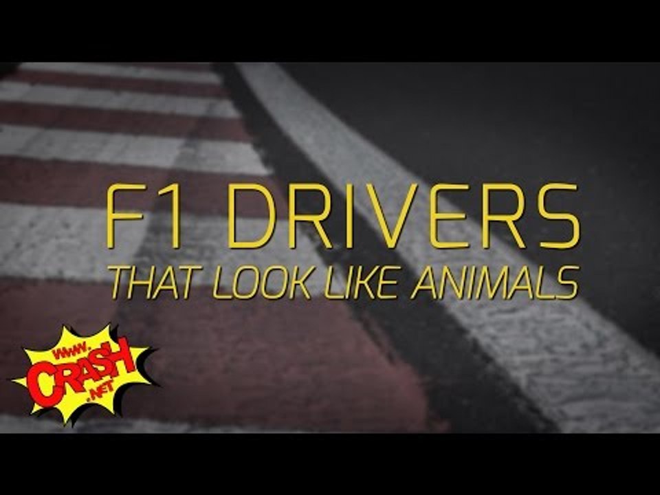 Ten F1 Drivers that look like animals | Crash.net