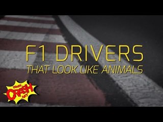 Ten F1 Drivers that look like animals | Crash.net