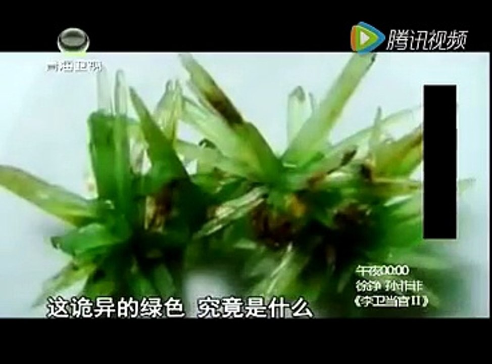 46少女群葬墓，考古专家打开棺木，看到令人毛孔悚然的场面