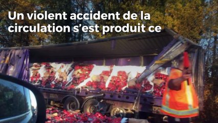 Accident mortel sur l'E403 à Templeuve entre deux camions