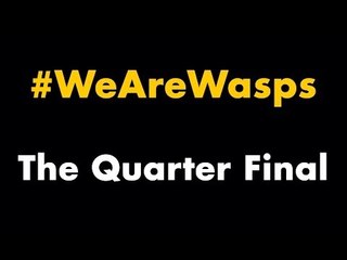 #WeAreWasps - The Amlin Challenge Cup Quarter Final