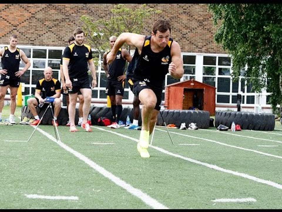 Welcome To Wasps - Rob Miller