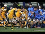 Wasps put 7 tries past Grenoble
