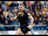 Welcome To Wasps - Lorenzo Cittadini