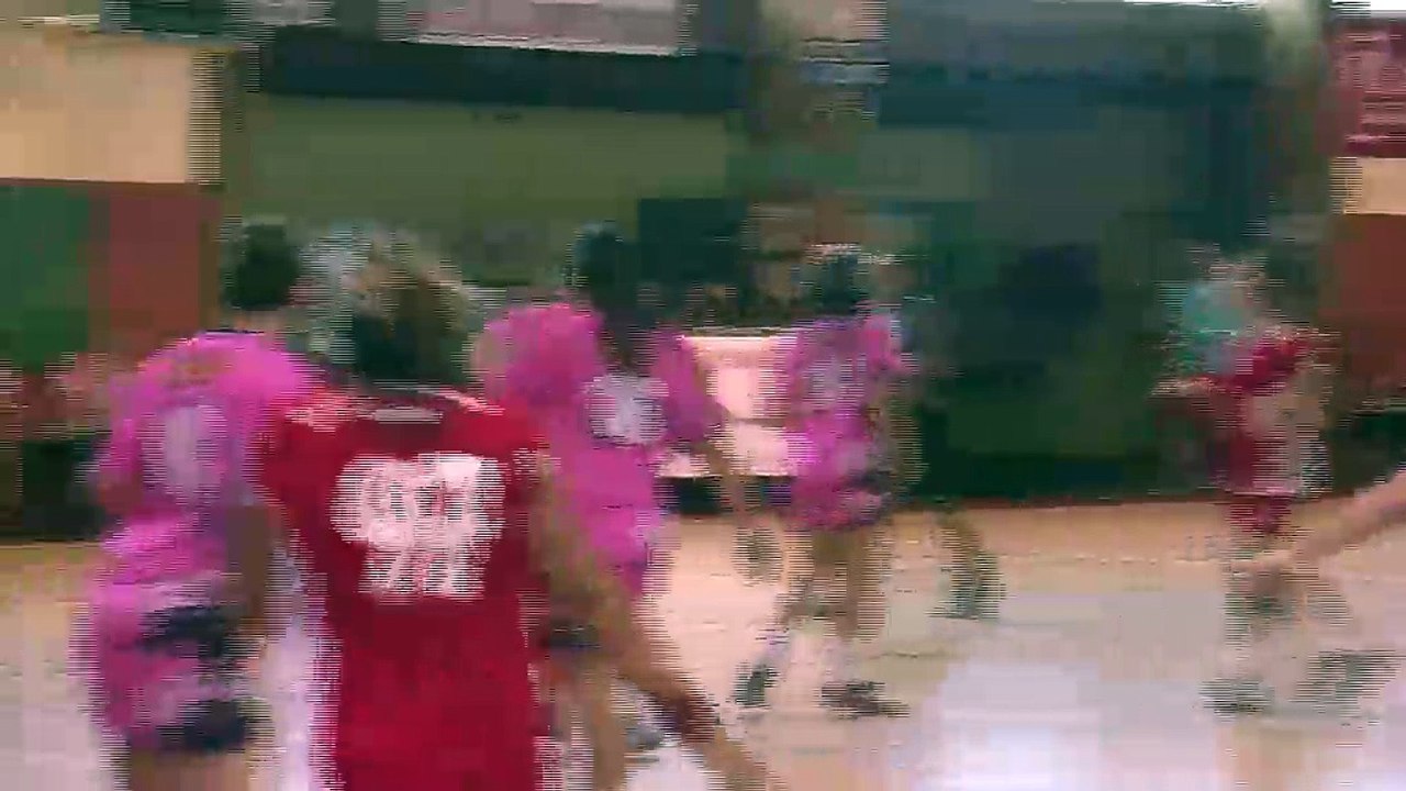 Reportage sur le Tournoi de handball féminin à Billoux (vidéo)