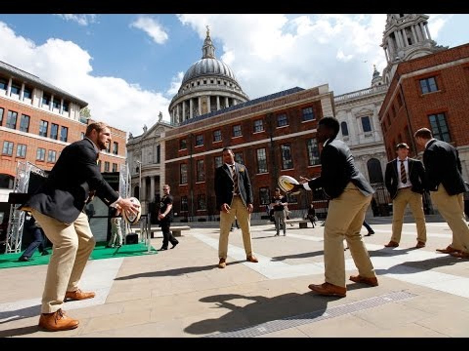 Wasps in the City