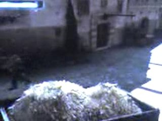 Saut de foi à l'envers (Assassin's Creed)