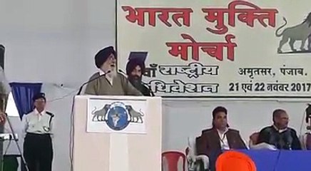 simranjit singh mann on cow vigilentes