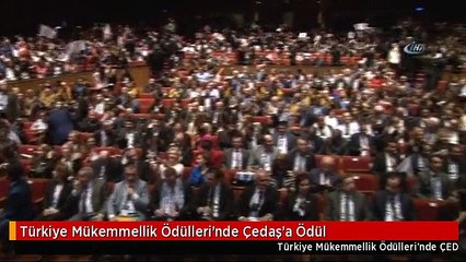 Türkiye Mükemmellik Ödülleri'nde Çedaş'a Ödül