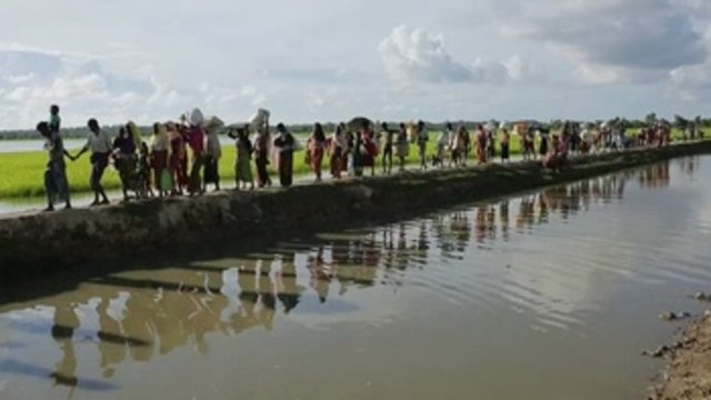 EEUU califica de limpieza étnica violencia contra los rohinyás en Birmania