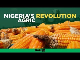 Nigeria’s agricultural revolution kick-starts in Nasarawa state