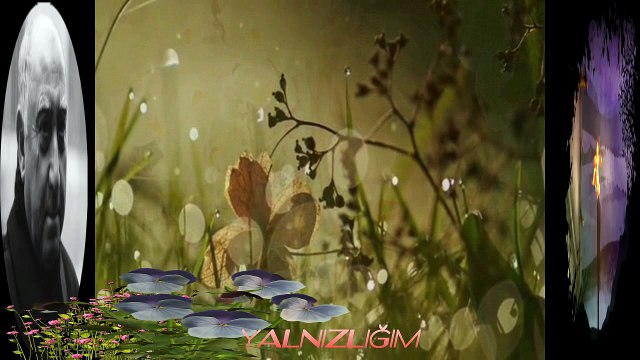 YALNIZLIĞIM FAZIL HÜSNÜ DAĞLARCA Seslendiren Klip Aynur AVCI