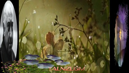 YALNIZLIĞIM FAZIL HÜSNÜ DAĞLARCA Seslendiren Klip Aynur AVCI