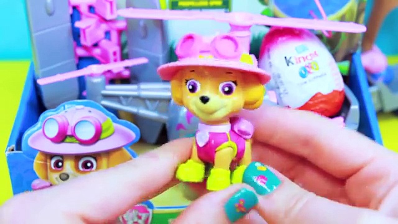 PATRULHA CANINA e PEPPA PIG 9 EPISÓDIOS COMPLETOS em Portugues Carros BRINQUEDOS Desenho Paw Patrol