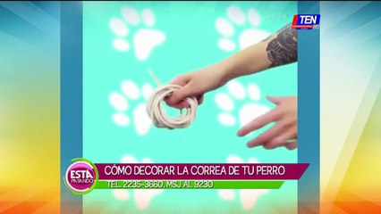 Cómo decorar la correa de tu perro
