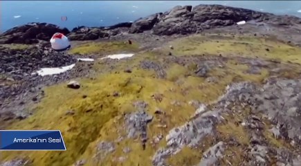 Bitkiler Kendilerini Morötesi Işınlardan Nasıl Koruyor?