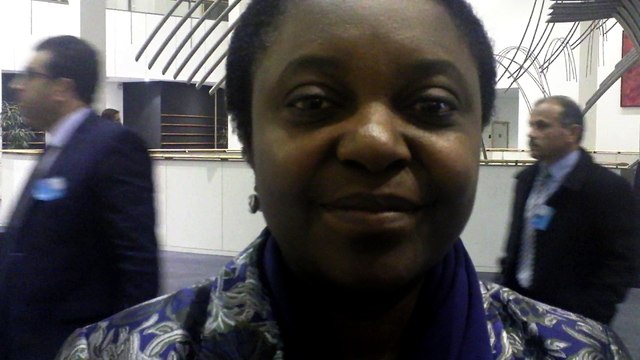 Intervista Cecile Kyenge - Partnership Africa EU