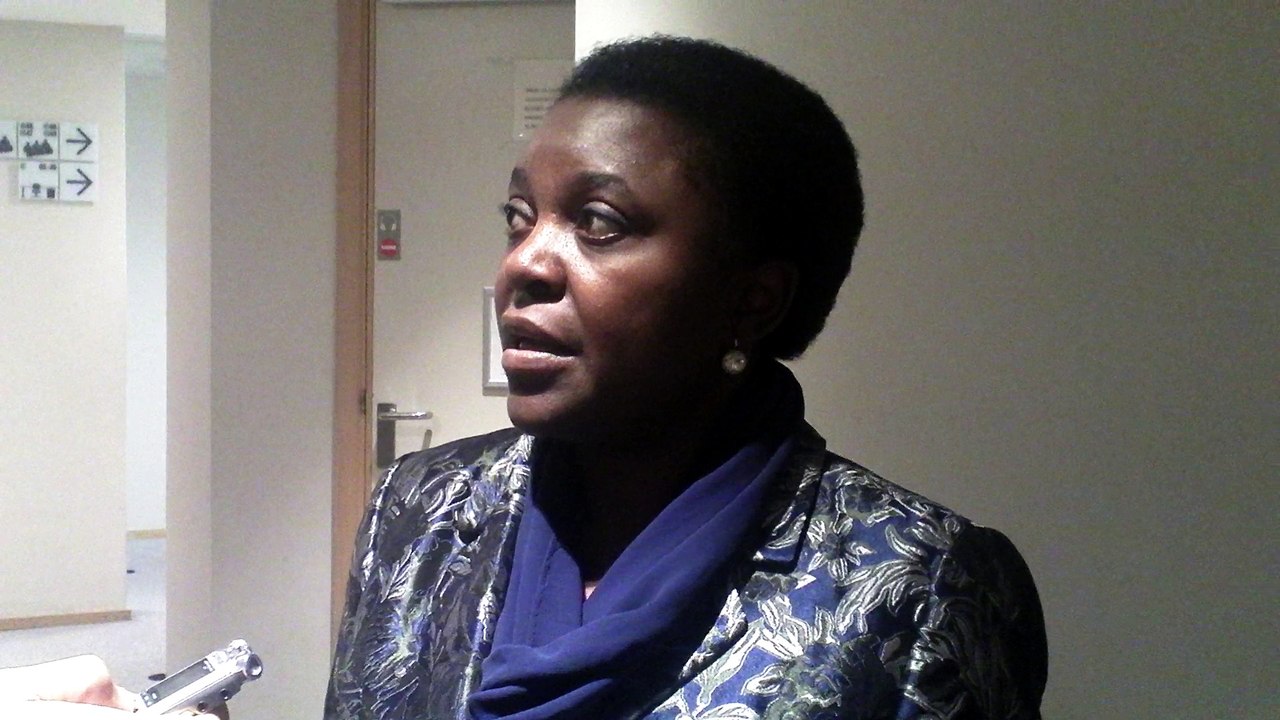"Su 10 migranti solo 1 arriva in Europa" - Kyenge, Partnership Africa EU