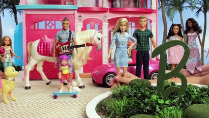 Mayor of Malibu | Barbie LIVE! In the Dreamhouse | Barbie