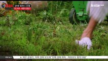 [KSTAR 생방송 스타뉴스]성추문 스타들, 잇단 복귀... 대중의 반응은?