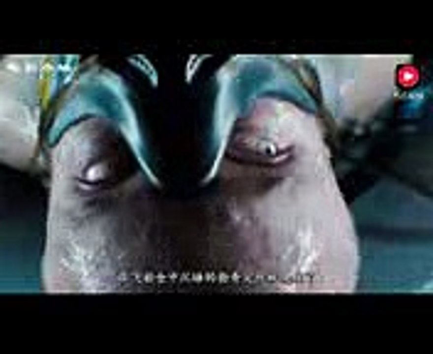 一部足够震撼的科幻惊悚电影，效果震撼，绝对劲爆眼球！